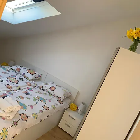 Apartament Orchidea *